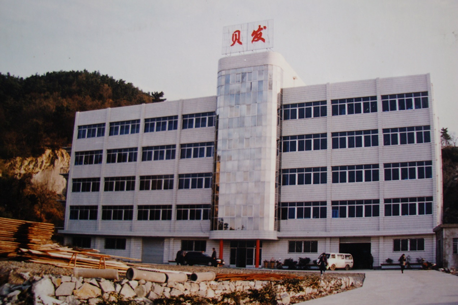 In 1996, The company's sales reached 26 million US dollars, which is equal to the total exports of the four largest listed companies in Shanghai.